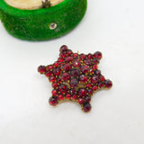 19th Century Austrian 8ct Gold & Bohemian Garnet Star Brooch Antique c1860