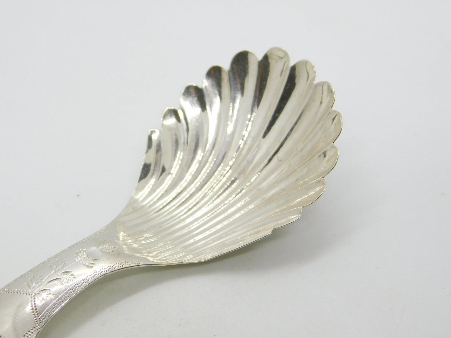 William IV Sterling Silver Bright Cut Tea Caddy Spoon Antique 1832 Birmingham