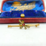 Edwardian 9ct Yellow Gold, Seed Pearl & Garnet Dragonfly Brooch Antique c1910