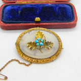 Victorian 9ct Yellow Gold, Chalcedony & Turquoise Set Oak Leaf Brooch c1860
