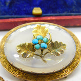 Victorian 9ct Yellow Gold, Chalcedony & Turquoise Set Oak Leaf Brooch c1860
