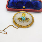 Victorian 9ct Yellow Gold, Chalcedony & Turquoise Set Oak Leaf Brooch c1860