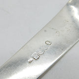 George III Scottish Sterling Silver Basting Spoon Antique 1810 Edinburgh