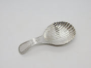 Victorian Australian Sterling Silver Scallop Shell Tea Caddy Spoon Antique c1900