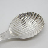 Victorian Australian Sterling Silver Scallop Shell Tea Caddy Spoon Antique c1900