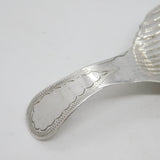 Victorian Australian Sterling Silver Scallop Shell Tea Caddy Spoon Antique c1900