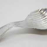 Victorian Australian Sterling Silver Scallop Shell Tea Caddy Spoon Antique c1900