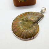 Sterling Silver Large Ammonite Fossil Set Drop Pendant Vintage c1970