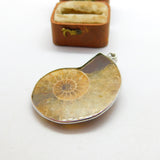 Sterling Silver Large Ammonite Fossil Set Drop Pendant Vintage c1970