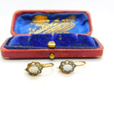 14ct Yellow Gold, Diamond Paste & Cabochon Opal Floral Earrings Antique c1920