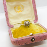 Victorian 18ct Gold & Diamond Set Floral Daisy Cluster Ring Antique c1890