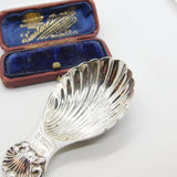 Sterling SIlver Scallop Shell Tea Caddy Spoon 1977 Birmingham Vintage