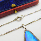 Sterling Silver Morpho Butterfly Wing Set Upside Down Heart Drop Necklace c1920