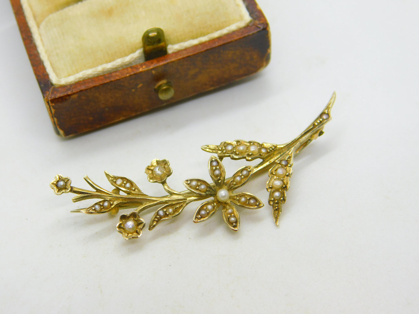 Edwardian 9ct Yellow Gold Seed Pearl Set Spring Flower Brooch Antique c1910
