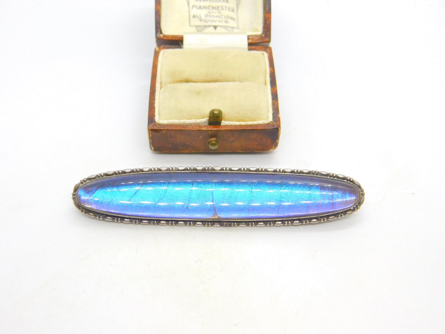 Large Sterling Silver & Morpho Butterfly Wing Brooch Antique c1920 Art Deco