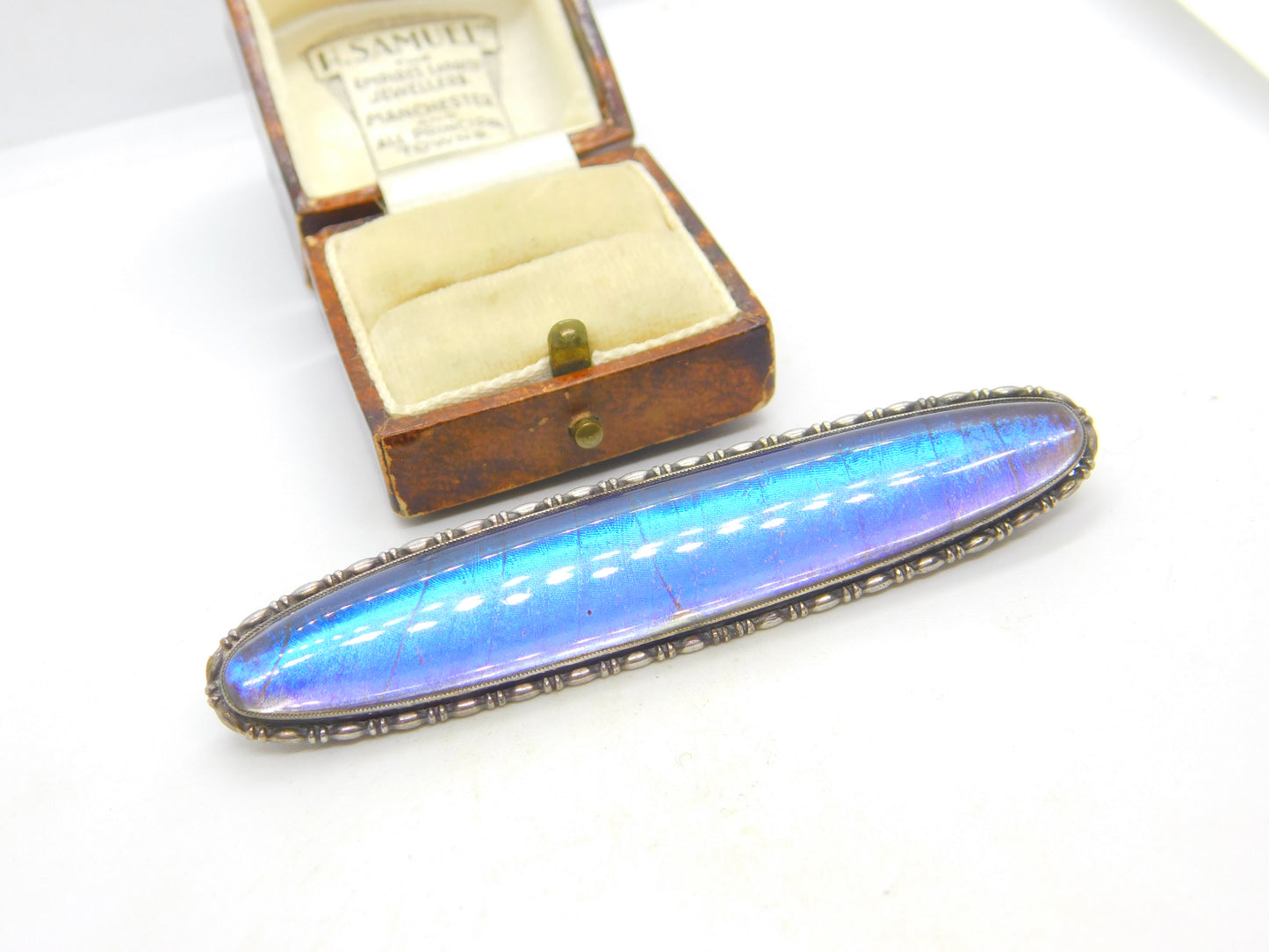 Large Sterling Silver & Morpho Butterfly Wing Brooch Antique c1920 Art Deco