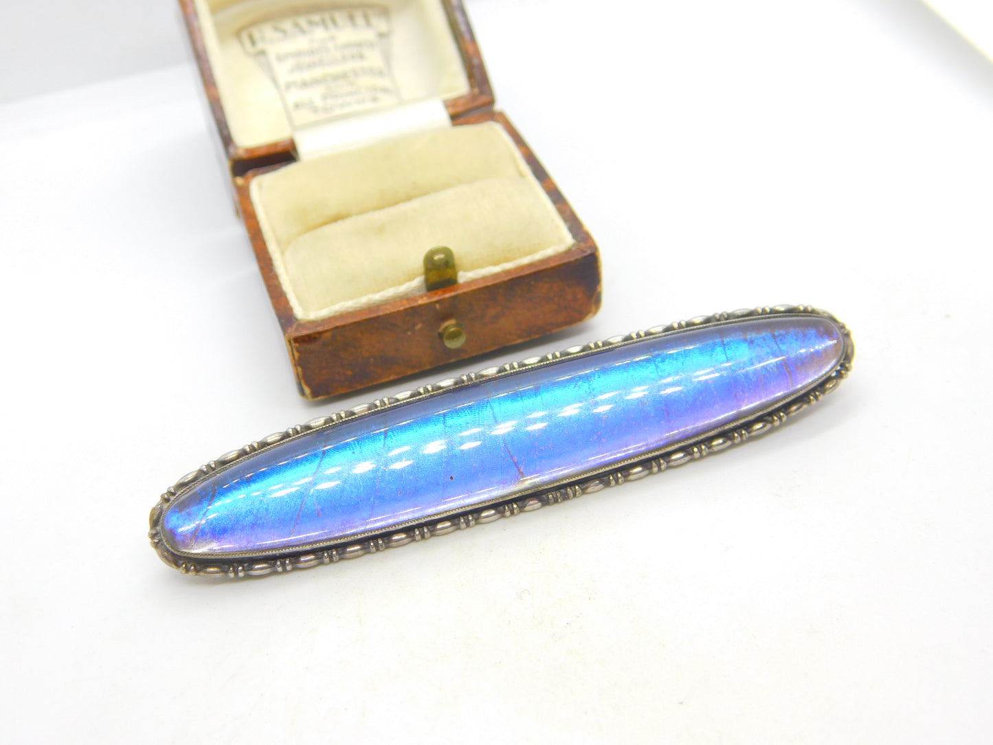 Large Sterling Silver & Morpho Butterfly Wing Brooch Antique c1920 Art Deco