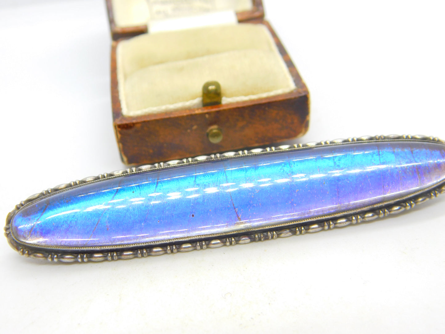Large Sterling Silver & Morpho Butterfly Wing Brooch Antique c1920 Art Deco