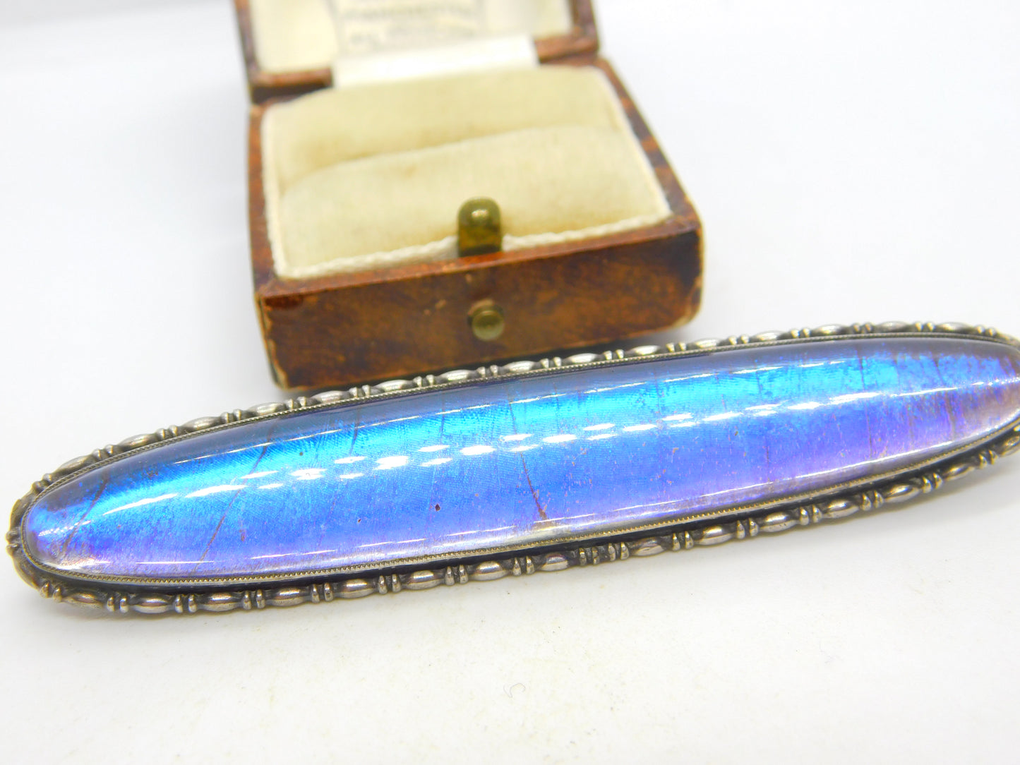 Large Sterling Silver & Morpho Butterfly Wing Brooch Antique c1920 Art Deco