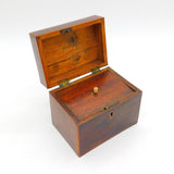 George III Regency Mahogany Wood Seashell Inlaid Tea Caddy Antique c1820