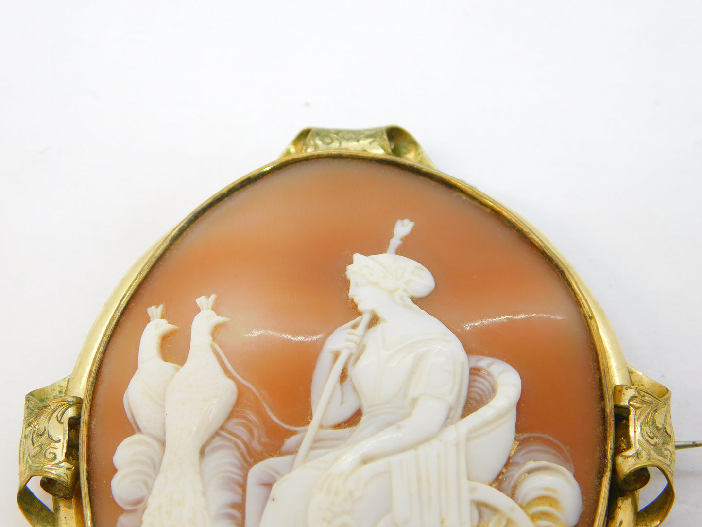 Victorian Large Rolled Gold Carved Shell Cameo Hera with Peacocks Antique c1850