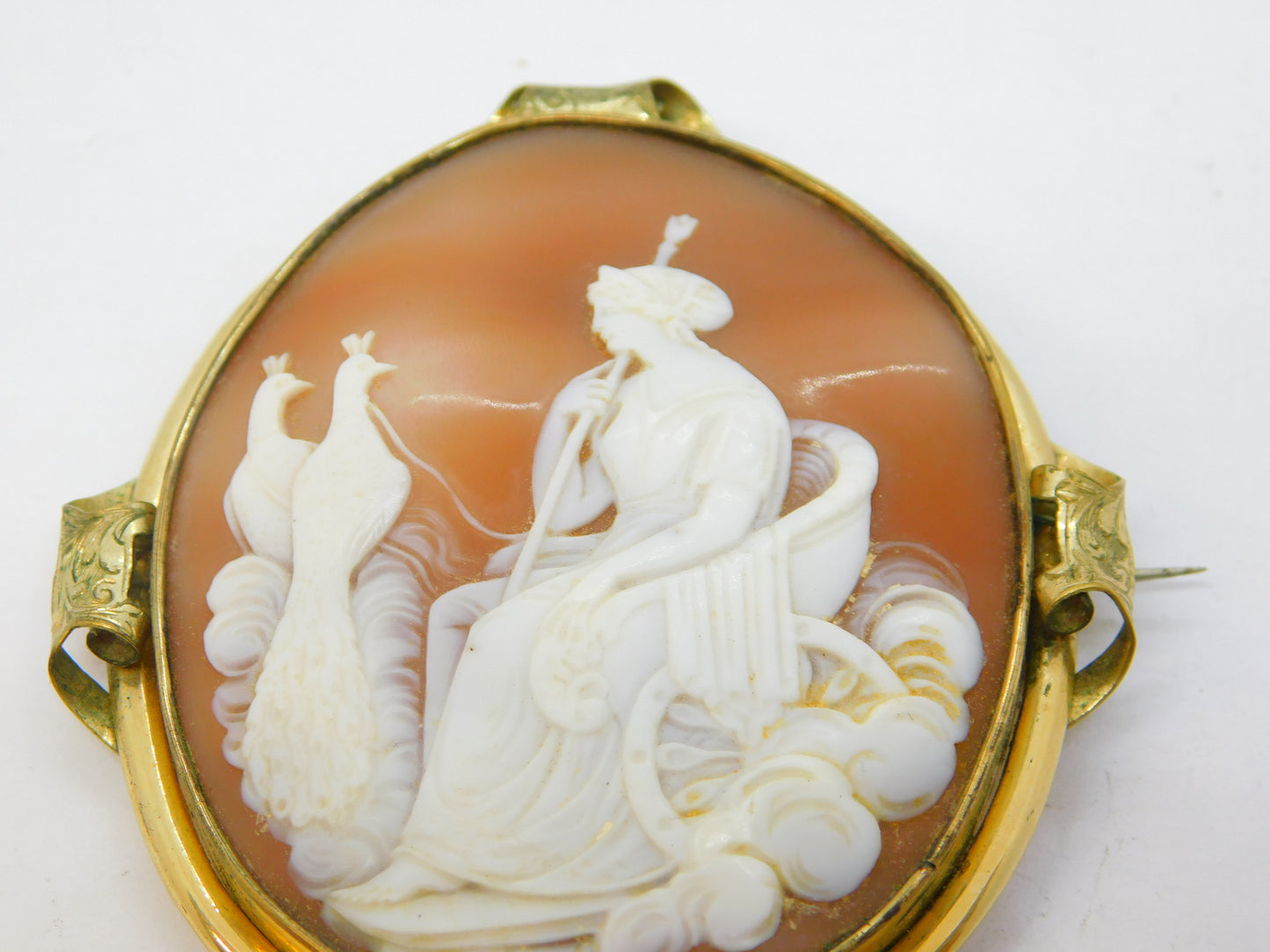 Victorian Large Rolled Gold Carved Shell Cameo Hera with Peacocks Antique c1850
