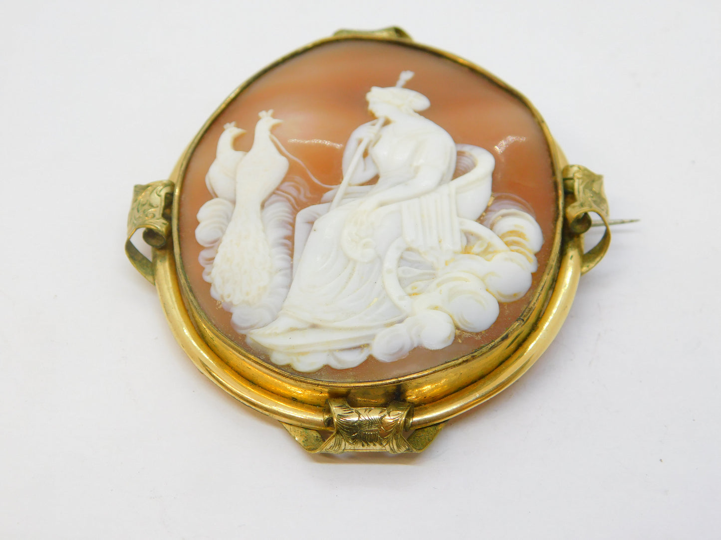 Victorian Large Rolled Gold Carved Shell Cameo Hera with Peacocks Antique c1850