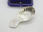 Sterling Silver Shell Bowl Tea Caddy Spoon Vintage 1977 Francis Howard