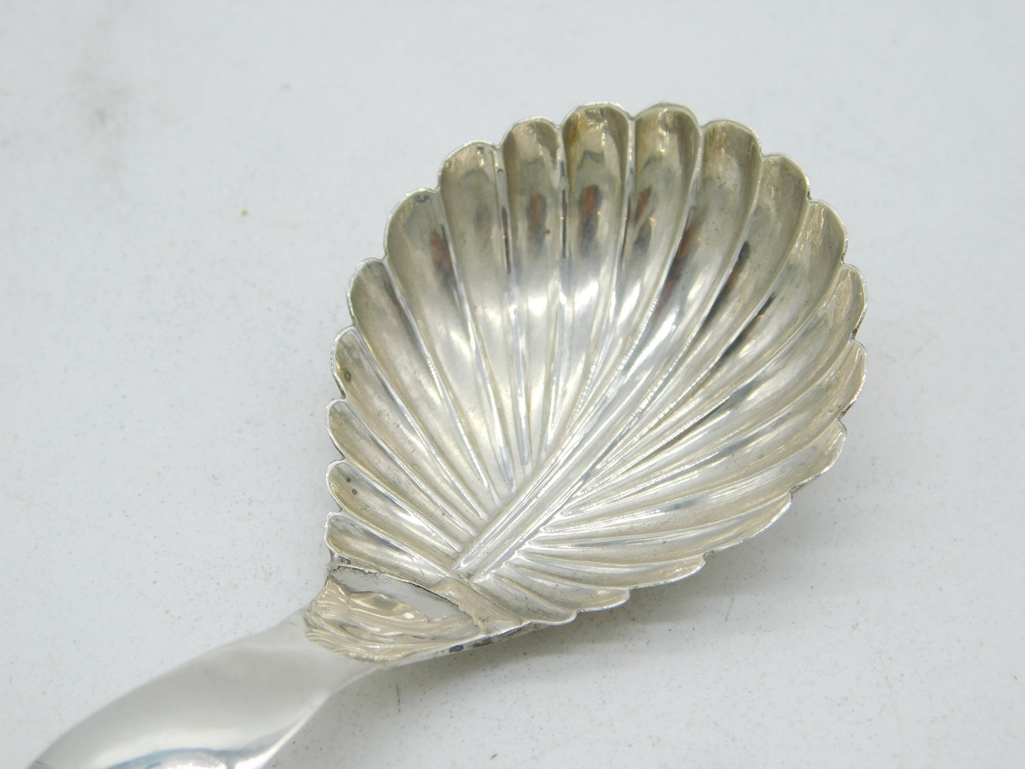 William IV Sterling Silver Leaf Pattern Tea Caddy Spoon Antique 1831 Birmingham
