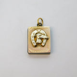 Victorian 9ct Gold Back & Front Lucky Greyhound Locket Pendant Antique c1860