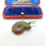 Ammonite Fossil Opal and Jade Pendant Antique Art Deco c1920