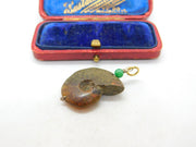 Ammonite Fossil Opal and Jade Pendant Antique Art Deco c1920
