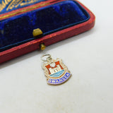 Sterling Silver and Coloured Enamel Travel Shield 'Swansea' Charm Vintage c1970