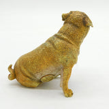20th Century Franz Bergmann Cold Painted Vienna Bronze Pug Figurine Antique