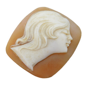 19th Century Carved Shell Female Profile Cameo Plaque Antique c1880s