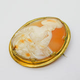 Victorian Rolled Gold Carved Shell Classical Scribe Cameo Brooch Antique