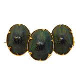 19th Century 12ct Gold Mounted Egyptian Scarab Beetle Brooch Antique c1860s
