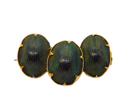 19th Century 12ct Gold Mounted Egyptian Scarab Beetle Brooch Antique c1860s