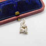 Sterling Silver Water Bearer Zodiac Aquarius Charm Pendant Vintage c1970