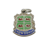 Sterling Silver Enamel Snowdonia Shield Charm Pendant Vintage c1970