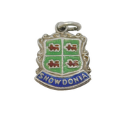 Sterling Silver Enamel Snowdonia Shield Charm Pendant Vintage c1970