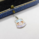 Sterling Silver & Enamel Windemere Crest Charm Pendant Vintage c1970