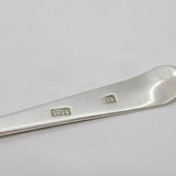 Paisley Scottish Provincial Sterling Silver Dessert Spoon, William Hannay c1800s