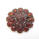 Austro-Hungarian Silver Gilt & Bohemian Garnet Floral Dress Brooch Antique
