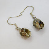 Pair of Sterling Silver Wrapped Natural Seashell Drop Earrings Vintage c1970