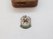 Sterling Silver Enamel Welsh Dragon Wales Charm Pendant Vintage c1970