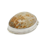 Peter, Ann, William Bateman George III Sterling Silver & Shell Snuff Box Antique