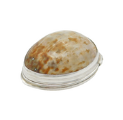 Peter, Ann, William Bateman George III Sterling Silver & Shell Snuff Box Antique