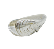 20th Century Silver Plated Mussel Shell Pickers Vintage c1990s