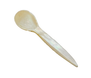 Victorian Carved Mother of Pearl Caviar Spoon Antique c1850s